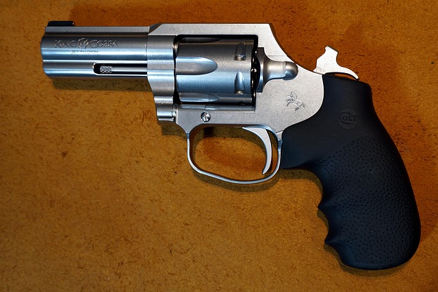 Gun license